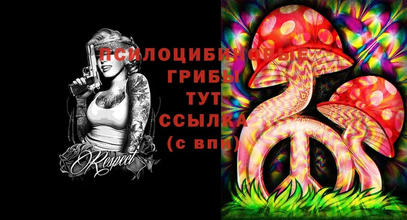 дарк нет как зайти  Велиж  Галлюциногенные грибы Magic Shrooms 